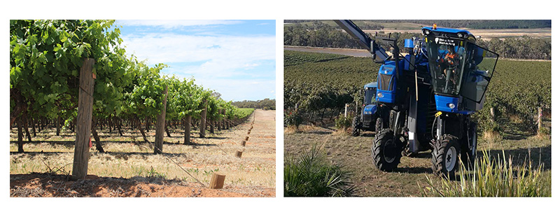 1598319943656333.jpg 20180515091541_61333.jpg